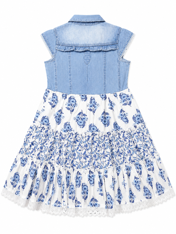DG-2537 product image 4 DG-2537 product image 4