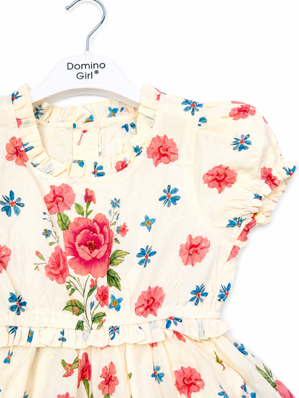 DG-2629 product image 2