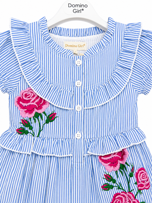 DG-2631 product image 2
