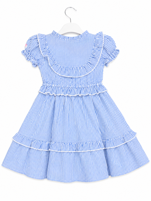 DG-2631 product image 4