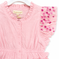 DG-2656 product image 2