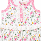 DG-2668 product image 2