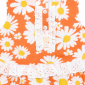 DG-2670 product image 2