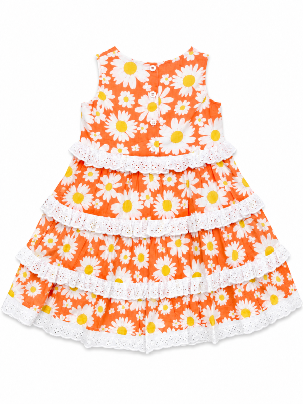 DG-2670 product image 4