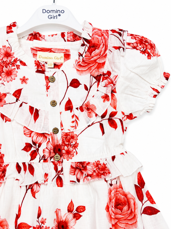 DG-2672 product image 2