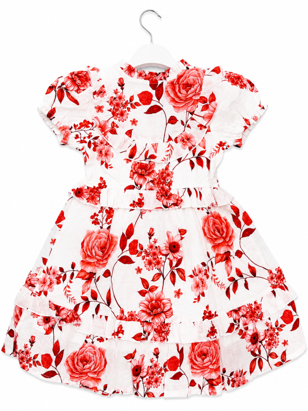 DG-2672 product image 4