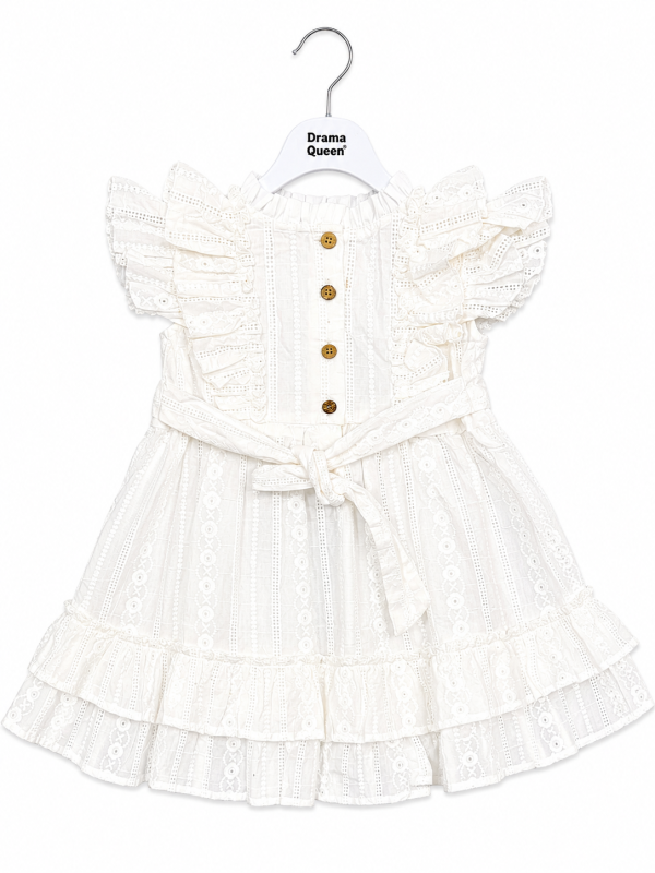 DQ-151 product image 3